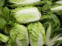 纯天然无公害蔬菜套餐
